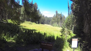 Nailing accompanied by blonde