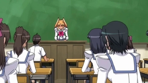 Cock sucking along with big tits