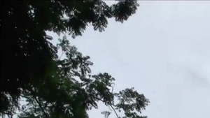 Threesome in public together with girl