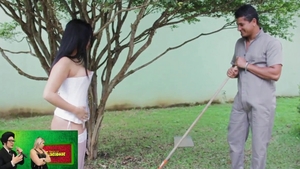 Pounding in the garden