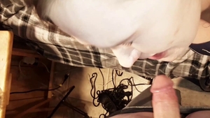 Princess finds pleasure in hard ramming in HD