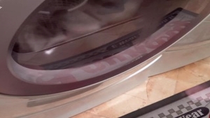 Raw sex together with latina jock