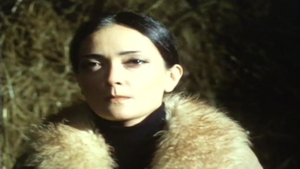 Pussy fucking with Anita Ericsson