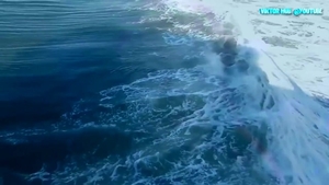 Russian redhead gets a buzz out of raw fucking in HD