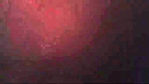 Tattooed ebony BBW rough blowjobs HD