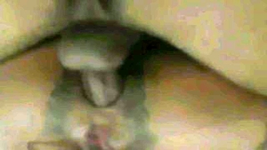 Couple agrees to nailing