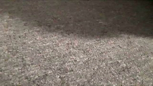 Raw fucking starring Alexis Fawx