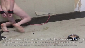 'Eating Beef-testicles whilst I'm Kicked In My Balls'