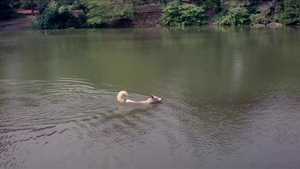 Leslie Bovee plowed hard